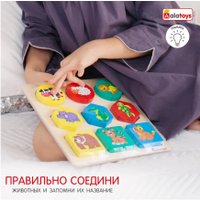 Сортер Alatoys Животные СОР31