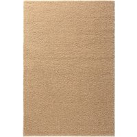 Ковер для жилой комнаты Moldabela Shaggy Viva 30 Прямоугольник 1039 1 31400 (1.2x1.8)