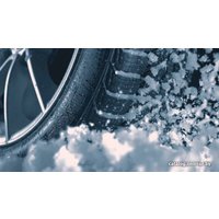 Зимние шины Bridgestone Blizzak DM-V3 265/65R18 116T XL