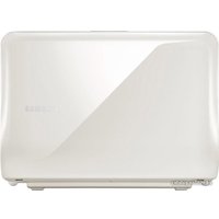 Нетбук Samsung NF210 (NP-NF210-A01RU)