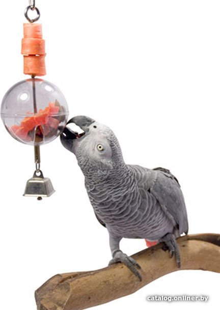 Фуражилка Happy Bird Шар для лакомств A62611