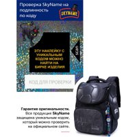 Школьный рюкзак SkyName 2104 + часы