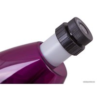 Детский микроскоп Levenhuk LabZZ M101 (аметист) 69033
