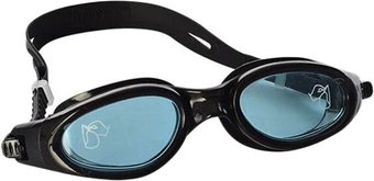 Очки для плавания Intex Silicone Sport Master Goggles 55692 (черный/голубой)