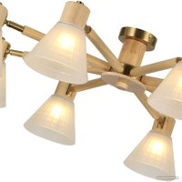 Люстра средней высоты Arte Lamp Meleph A4096PL-8BR