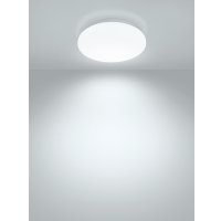 Светильник-тарелка TDM Electric Классика SQ0329-9014