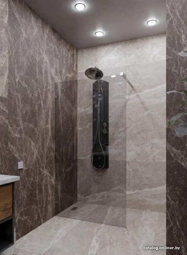 Душевая стенка Radomir Walk-in G1 110x200 1-10-0-0-0-1900 (прозрачное стекло)