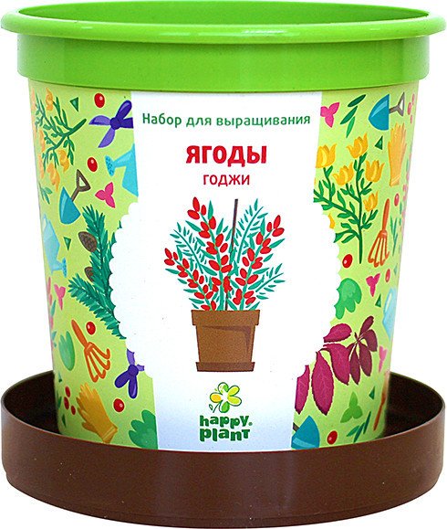 

Набор для опытов Happy plant Ягоды Годжи hpn-18