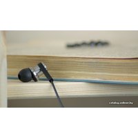 Наушники Xiaomi Hybrid Dual Drivers QTER01JY