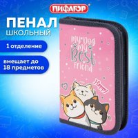 Пенал Пифагор 272240 (розовый)