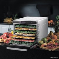 Сушилка для овощей и фруктов Kitfort KT-1925