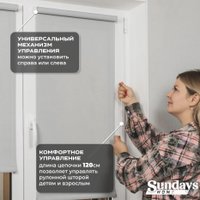 Рулонные шторы Sundays Home Санскрин SS 1300-03 61х215 (серый)