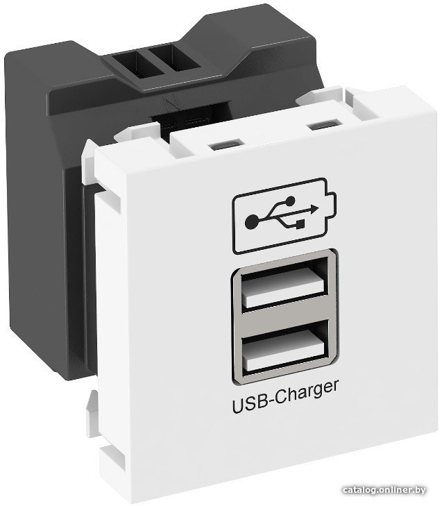 Розетка USB OBO Bettermann MTG-2UC1.2 RW1 6105291