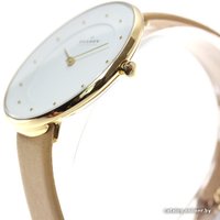 Наручные часы Skagen SKW2137 в Пинске