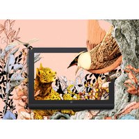 Графический монитор XP-Pen Artist Pro 16 MD160QH (2-ое поколение)