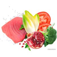 Сухой корм для собак Exclusion Monoprotein Tuna Noble Grain мелких пород NGATS02 (2 кг)