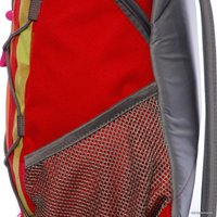 Городской рюкзак Dakine Girls Wonder 15L (carmen)