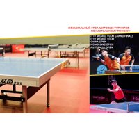 Теннисный стол Double Fish 23323 (черный)