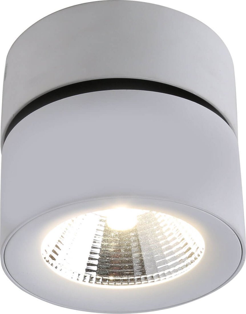 

Спот Divinare Urchin 1295/03 PL-1