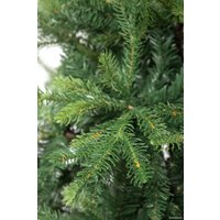 Ель Winter Time EB08-3423T 2.45 м