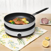 Настольная плита Xiaomi Induction Cooker Lite DCL002CM-1 (евровилка)