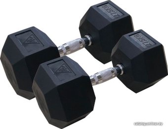 Набор гантелей DFC DB001-27.5 2x27.5 кг