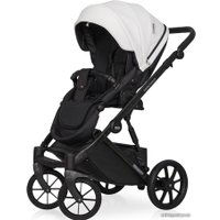 Универсальная коляска Riko Basic Montana Ecco (2 в 1, 11/белый)