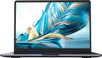 Ноутбук Ninkear N16 Pro NKN16prohn125241024