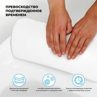 Подголовник для ванны Wellsee Useful Extras 261901000