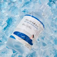  Round Lab Birch Juice Moisturizing Toner (300мл) в Орше