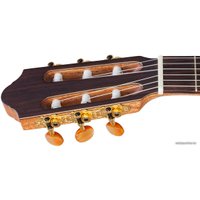 Акустическая гитара Kremona Sofia SC