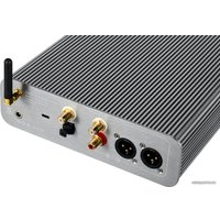 Настольный усилитель Burson Audio Conductor 3Х Performance