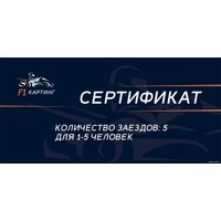 F1-Картинг 5 заездов