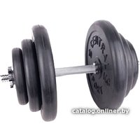 Гантель Central Sport 36.5 кг