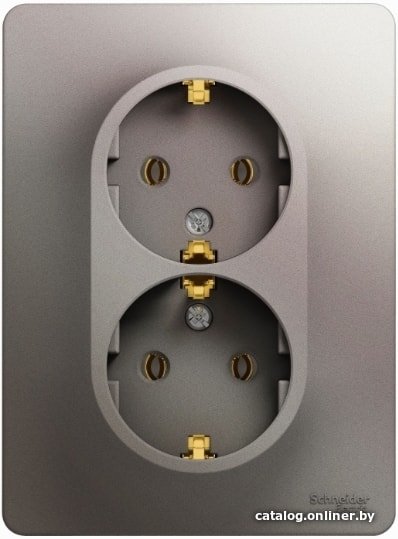 Розетка Schneider Electric GSL001224
