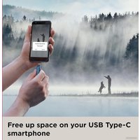 USB Flash SanDisk Ultra Dual Drive Go Type-C 256GB SDDDC3-256G-G46NB