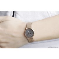 Наручные часы Skagen SKW2189