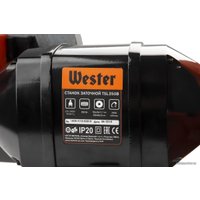 Заточный станок Wester TSL350B