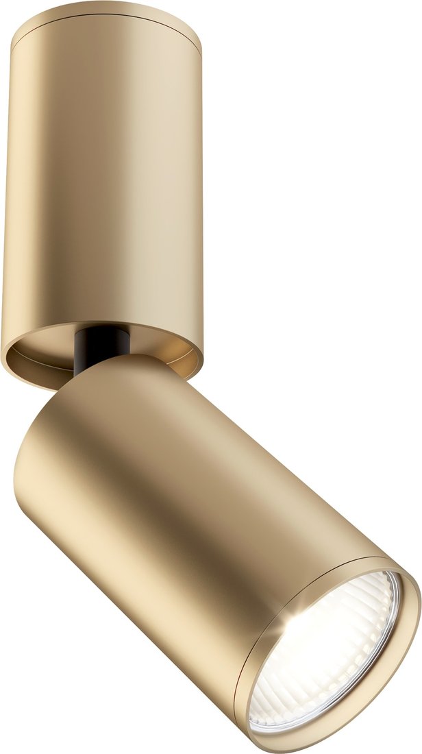 

Точечный светильник Maytoni FOCUS S C051CL-01G