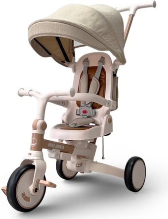 Детский велосипед Bubago Malanka BG 211-2 (коричневый)