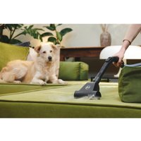 Пылесос Hoover TXL80PET 011