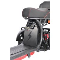 Электроскутер White Siberia CityCoco WS-Pro Trike 3000W 21Ah (с черными брызговиками)