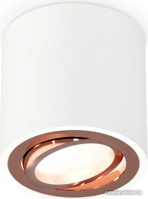 Точечный светильник Ambrella light Techno spot XS7531005 SWH/PPG