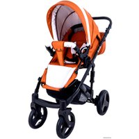 Универсальная коляска Ray Corsa Ecco (2 в 1, 24)