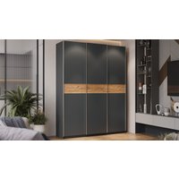 Шкаф-купе Трия Оскар Скания Т2 1800 268686 (ручка серебро/серый графит/серый графит/дуб тортугга)