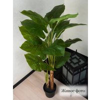 Искусственное растение Merry Bear Home Decor Филодендрон AZ01140