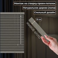 Жалюзи горизонтальные АС МАРТ 25-66 100x200 (серебро патина)