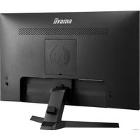 Игровой монитор Iiyama G-Master Black Hawk G2440HSU-B1