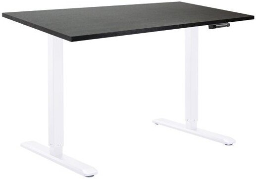 

Стол для работы стоя ErgoSmart Manual DESKFIT DF100 1200х650х25 мм (дуб мореный/белый)