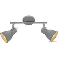 Спот Arte Lamp Jovi Grigio A1677PL-2GY